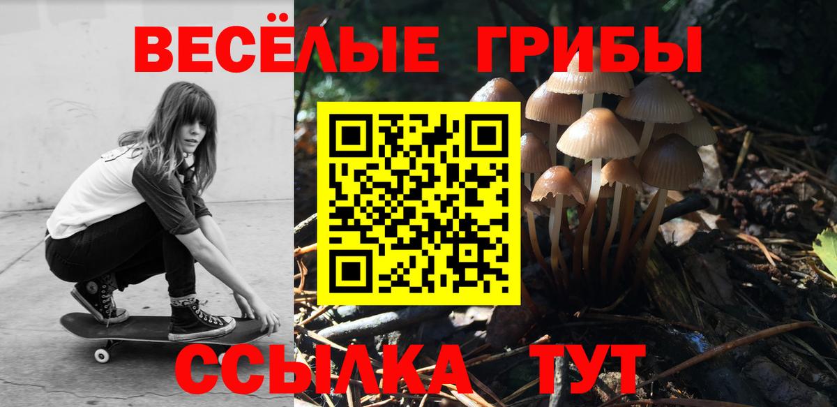 Псилоцибиновые грибы прущие грибы  Вход с VPN  закладка  Псилоцибиновые грибы Magic Shrooms  Кудрово 